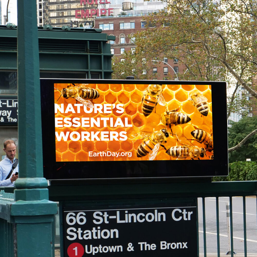Out of home advertising subway kiosk with bees and headline "Nature's Essential Workers"
