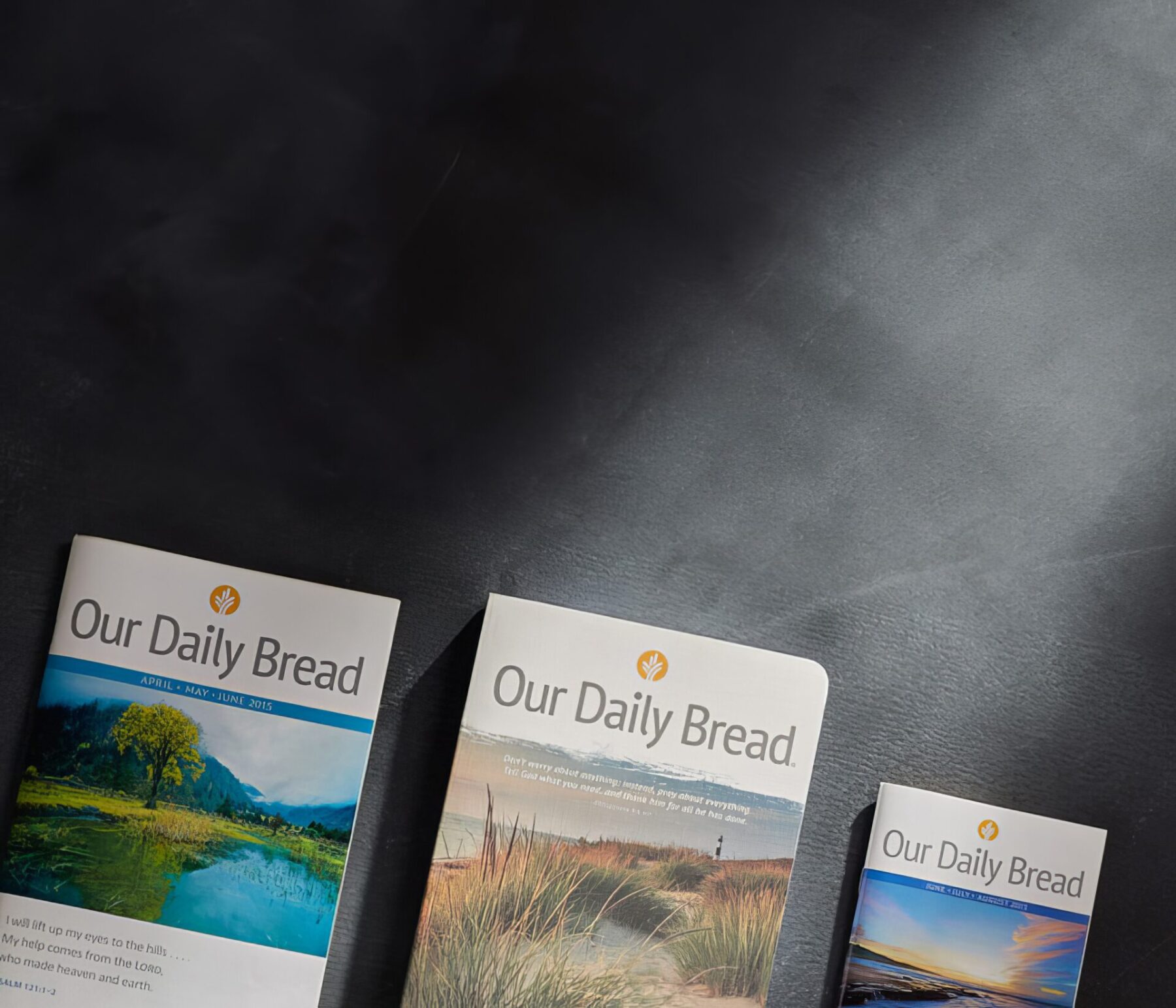 Our Daily Bread Cover Designs featuring the logo with an image of a mountain, beach and dunes.