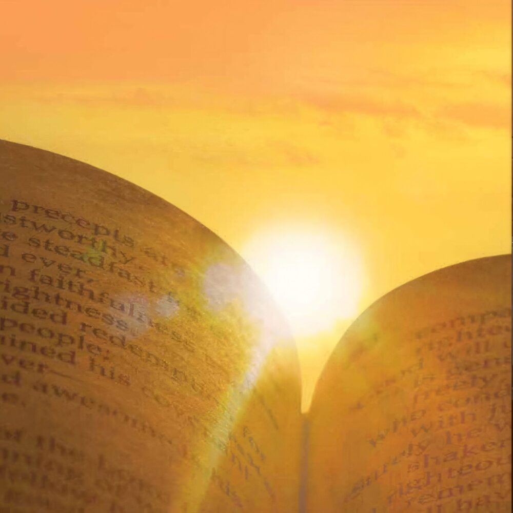 Image of the sun peaking over the top of an open book. Promo image for the Zondervan Bible Catalog in 2013.