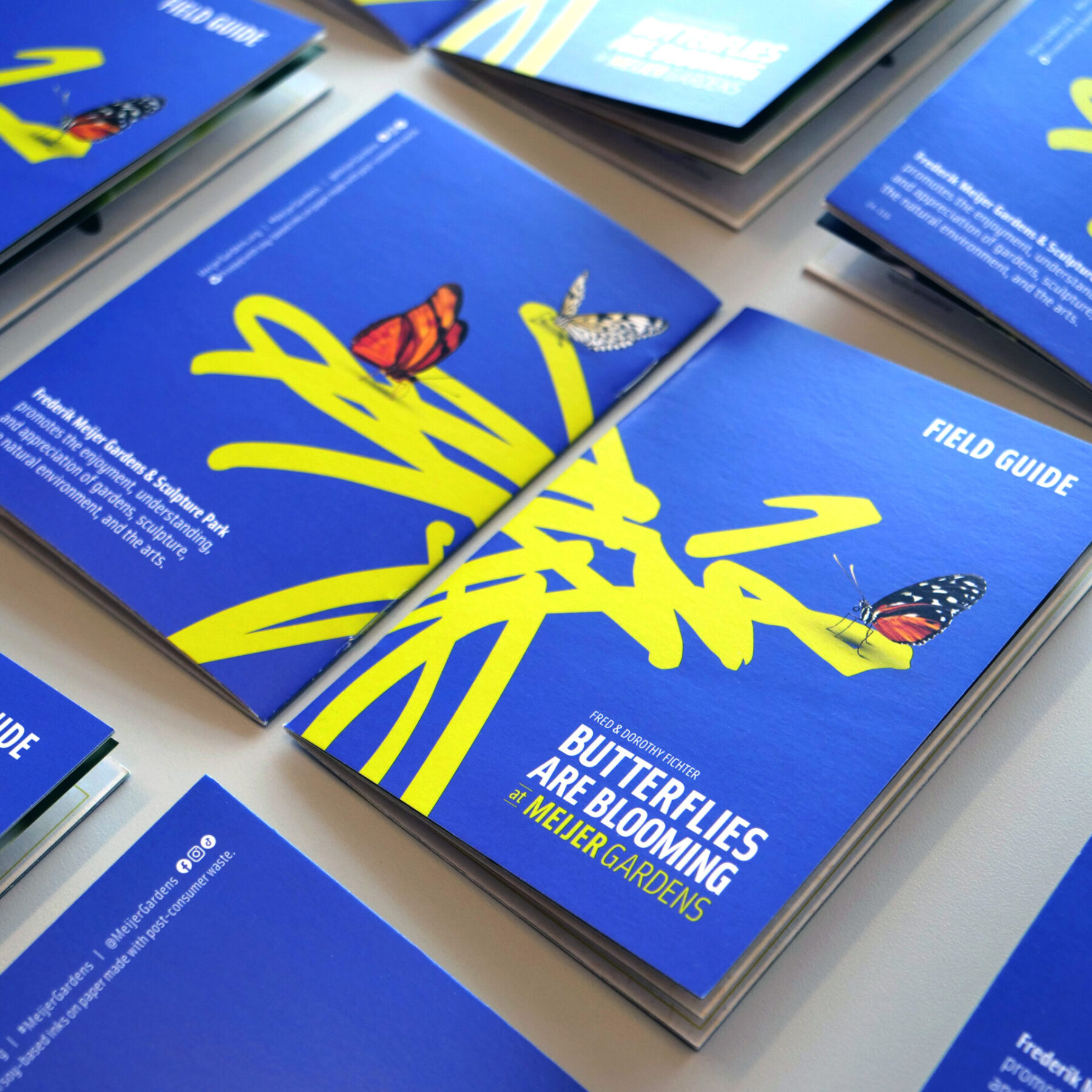 Field guide booklet for the butterfly exhibit featuring illustrated butterflies over the logo, with the headline “Butterflies are Blooming at Meijer Gardens.”