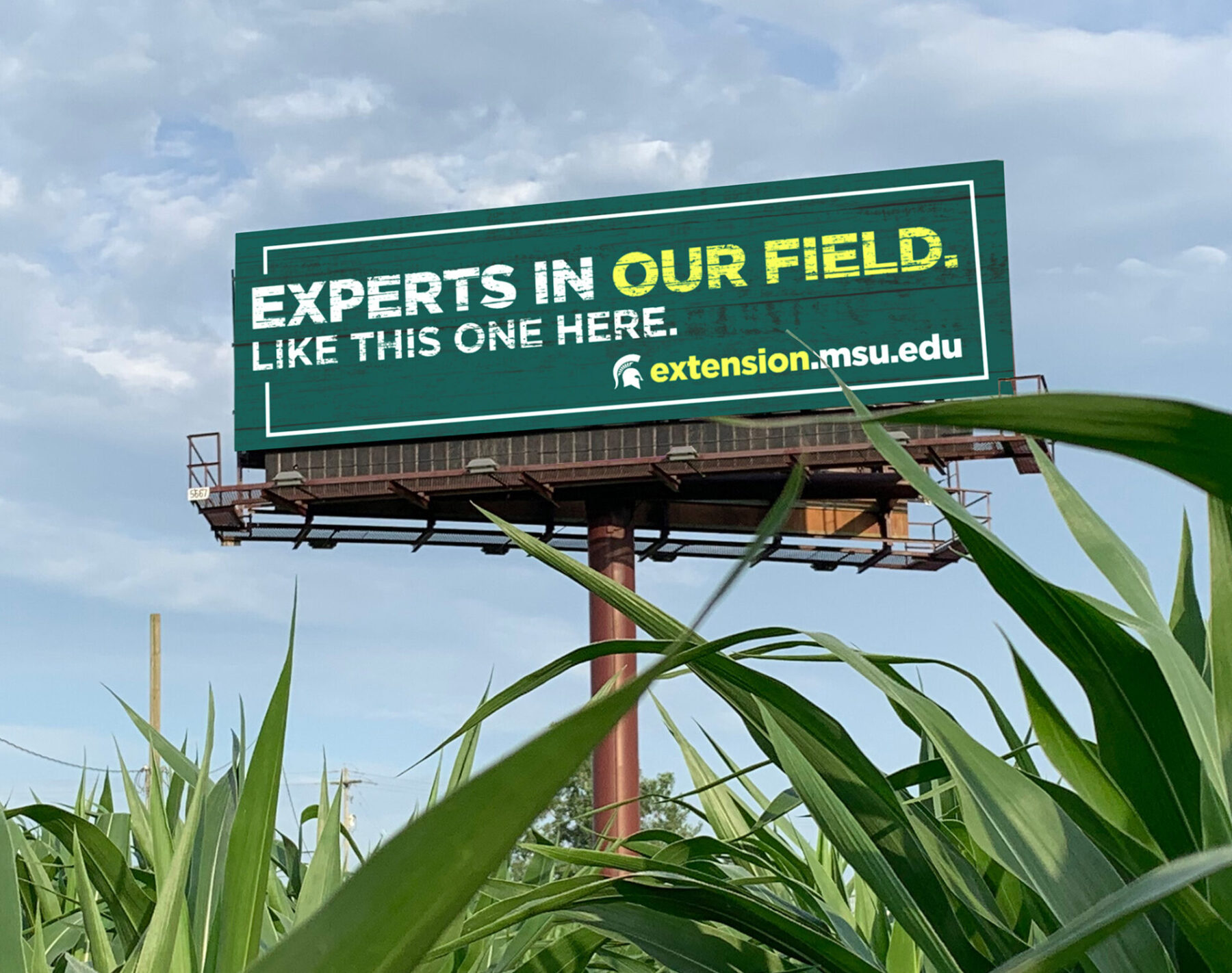 MSU Extension Experts in our field.